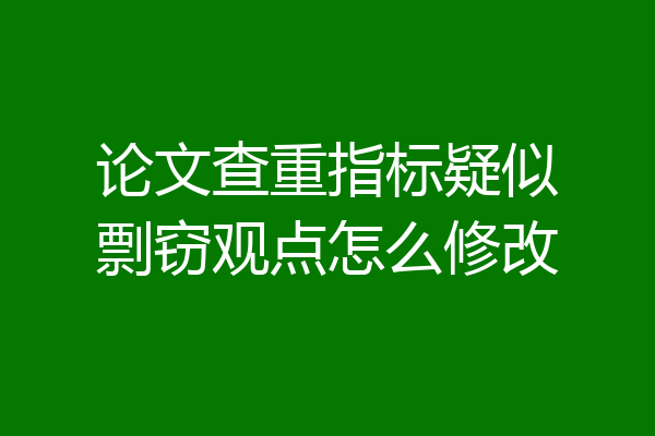 论文查重指标疑似剽窃观点怎么修改