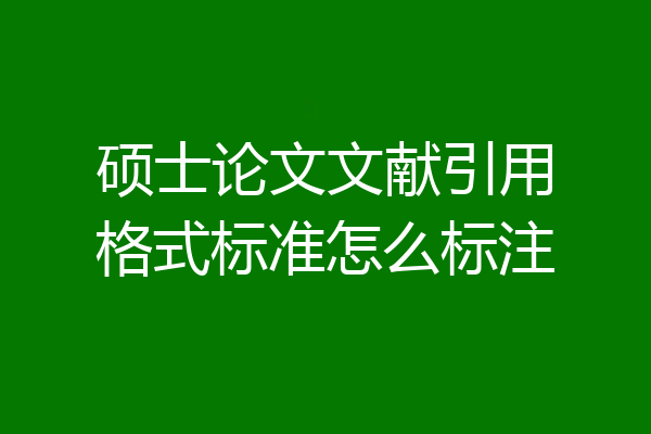 硕士论文文献引用格式标准怎么标注