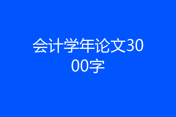 会计学年论文3000字