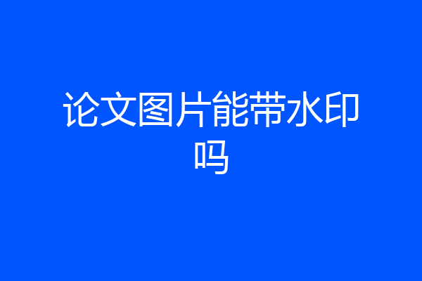 论文图片能带水印吗