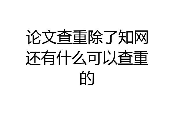 论文查重除了知网还有什么可以查重的