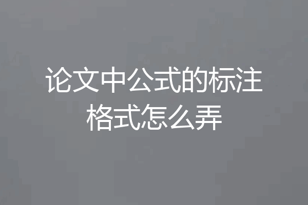 论文中公式的标注格式怎么弄