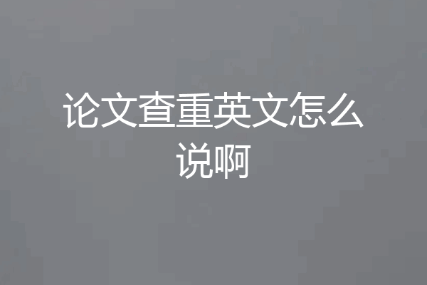 论文查重英文怎么说啊