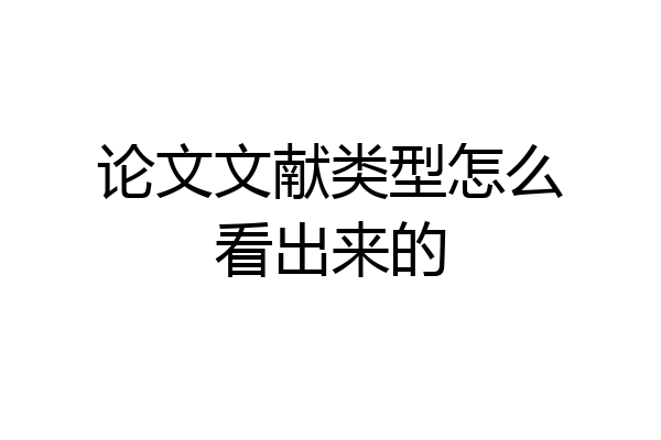 论文文献类型怎么看出来的