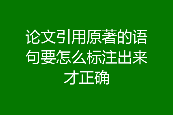 论文引用原著的语句要怎么标注出来才正确