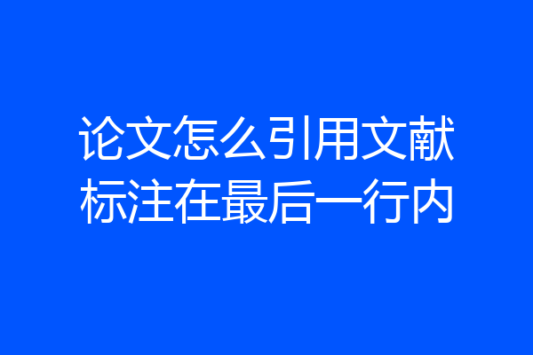 论文怎么引用文献标注在最后一行内