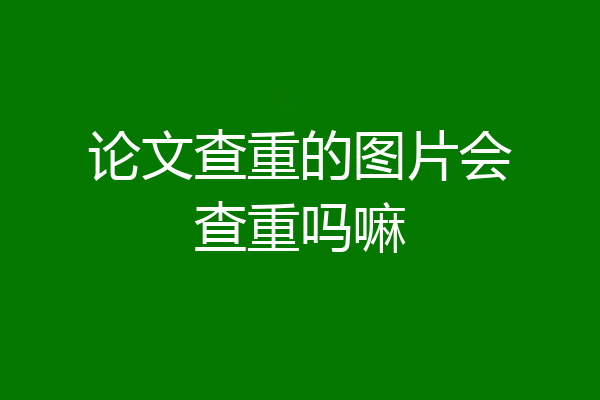 论文查重的图片会查重吗嘛