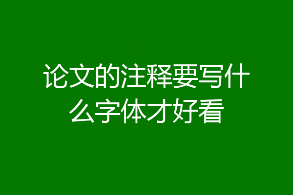 论文的注释要写什么字体才好看