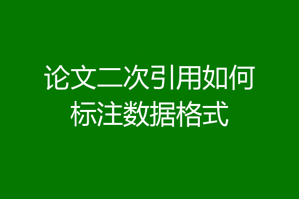 论文二次引用如何标注数据格式