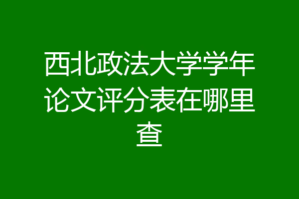 西北政法大学学年论文评分表在哪里查