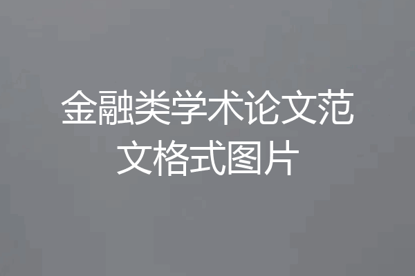 金融类学术论文范文格式图片