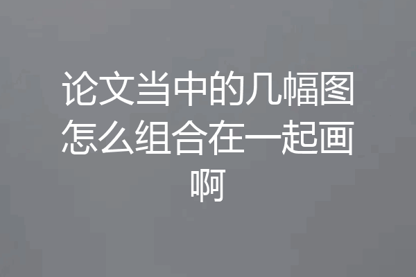 论文当中的几幅图怎么组合在一起画啊