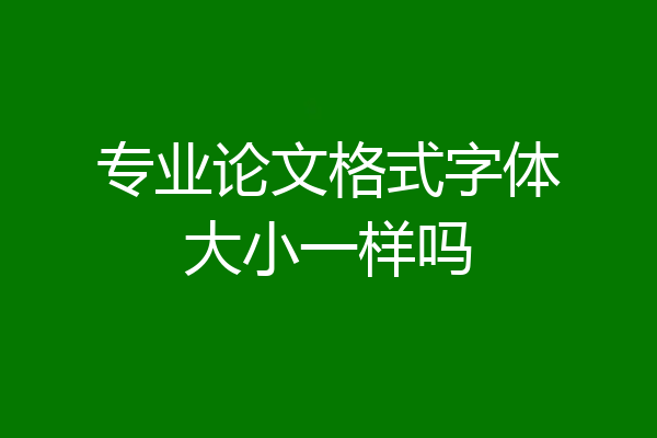专业论文格式字体大小一样吗