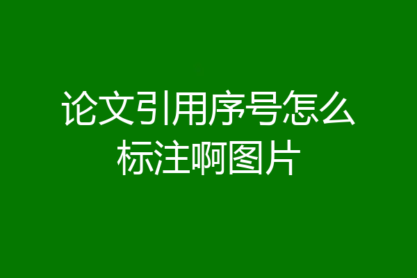 论文引用序号怎么标注啊图片