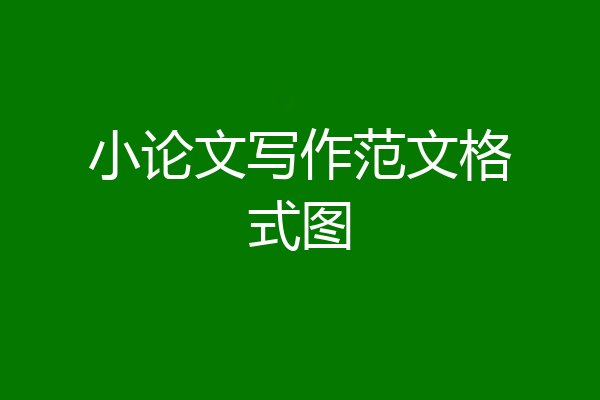 小论文写作范文格式图