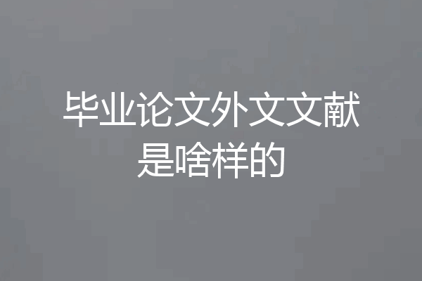 毕业论文外文文献是啥样的