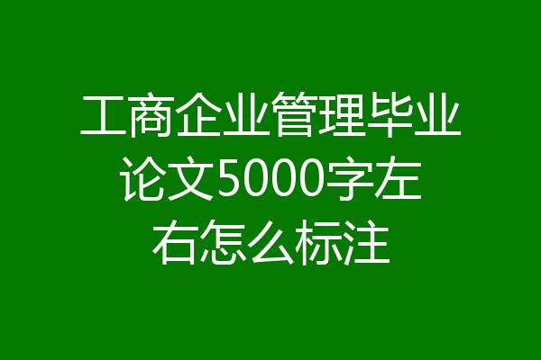 工商企业管理毕业论文5000字左右怎么标注