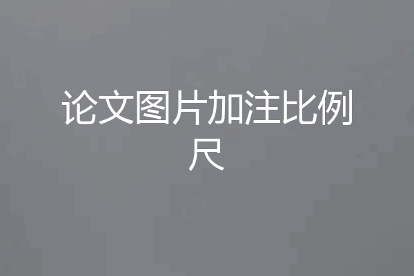论文图片加注比例尺