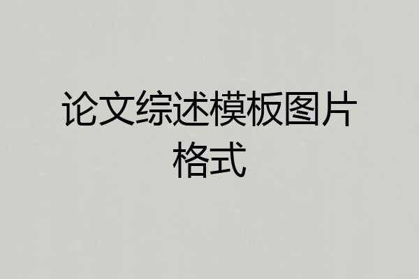 论文综述模板图片格式