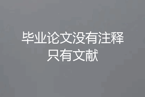 毕业论文没有注释只有文献
