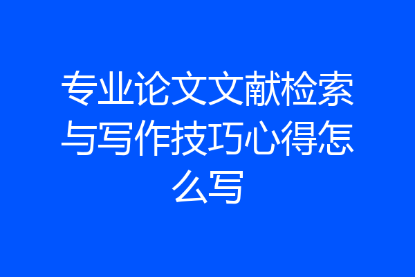 专业论文文献检索与写作技巧心得怎么写
