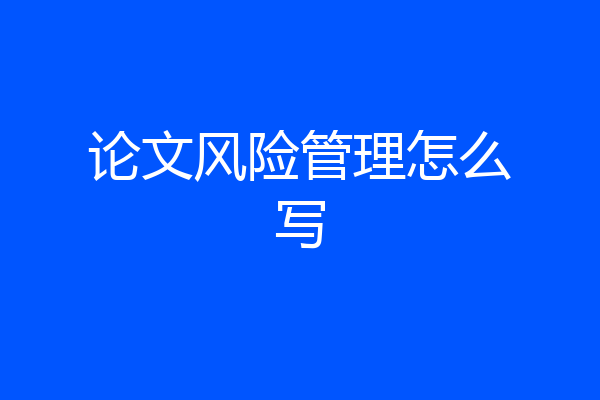 论文风险管理怎么写