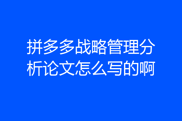 拼多多战略管理分析论文怎么写的啊