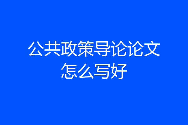 公共政策导论论文怎么写好