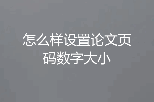 怎么样设置论文页码数字大小