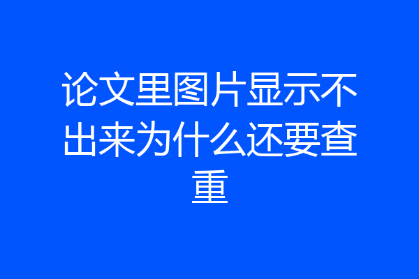 论文里图片显示不出来为什么还要查重