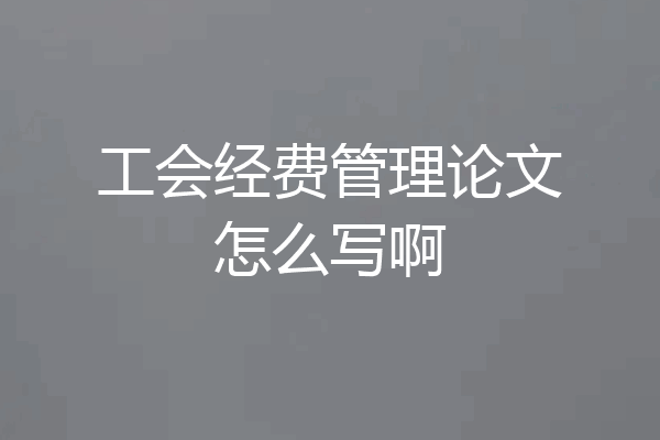 工会经费管理论文怎么写啊