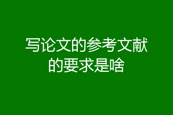 写论文的参考文献的要求是啥