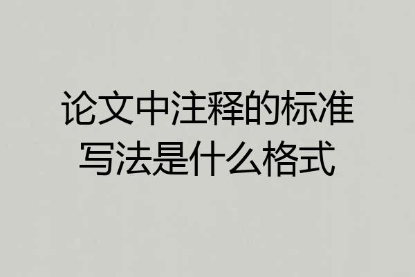 论文中注释的标准写法是什么格式