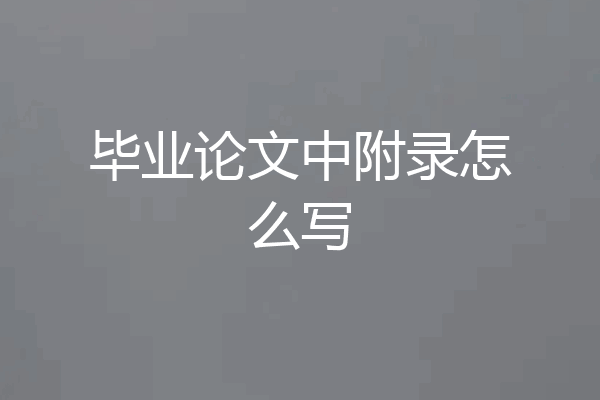 毕业论文中附录怎么写
