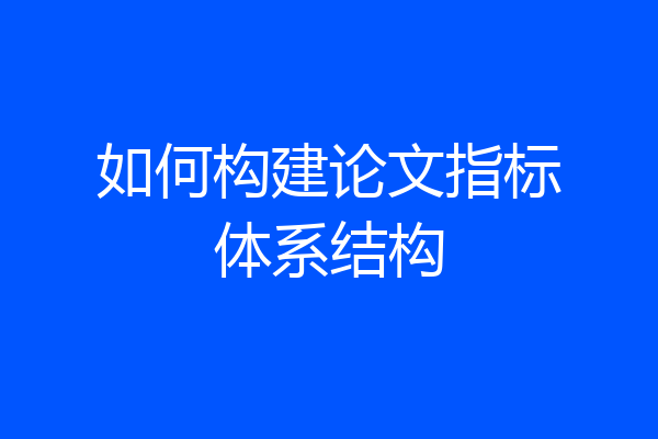 如何构建论文指标体系结构