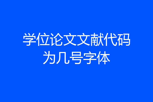 学位论文文献代码为几号字体
