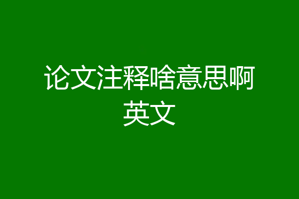 论文注释啥意思啊英文