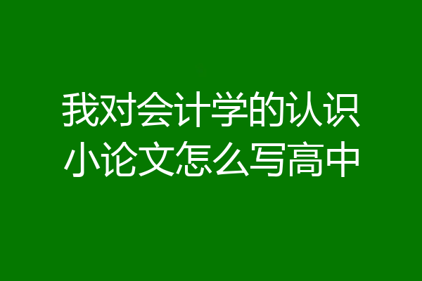 我对会计学的认识小论文怎么写高中