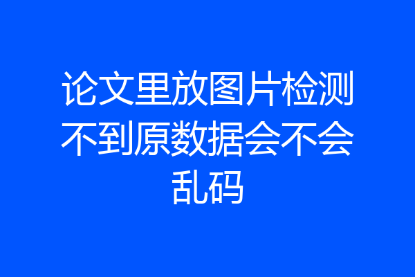 论文里放图片检测不到原数据会不会乱码