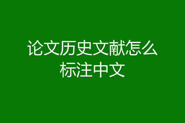 论文历史文献怎么标注中文