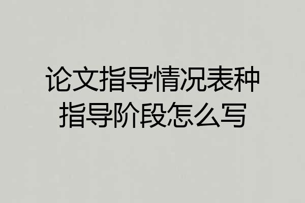 论文指导情况表种指导阶段怎么写