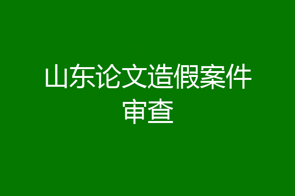 山东论文造假案件审查