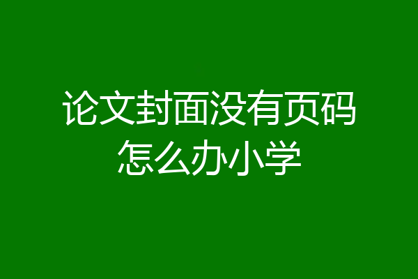 论文封面没有页码怎么办小学