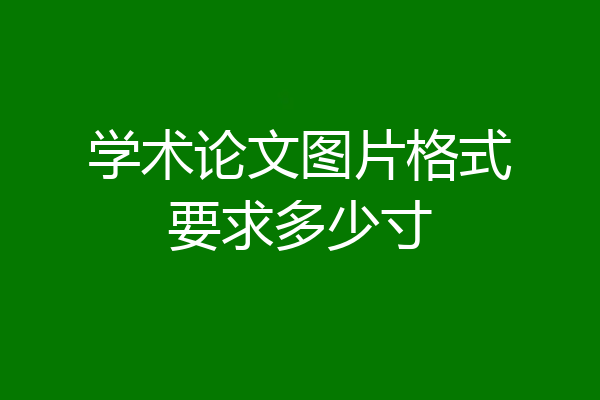 学术论文图片格式要求多少寸