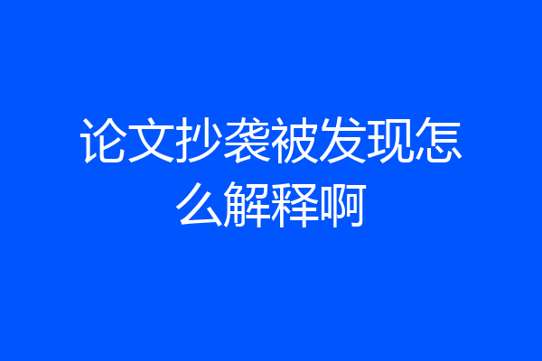 论文抄袭被发现怎么解释啊
