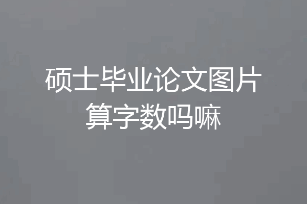 硕士毕业论文图片算字数吗嘛