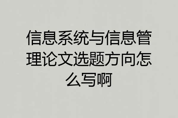 信息系统与信息管理论文选题方向怎么写啊