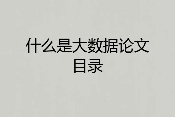 什么是大数据论文目录