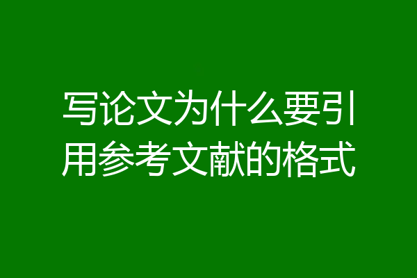 写论文为什么要引用参考文献的格式