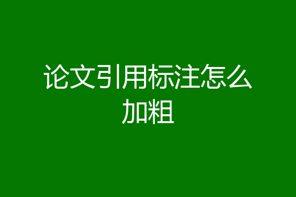 论文引用标注怎么加粗
